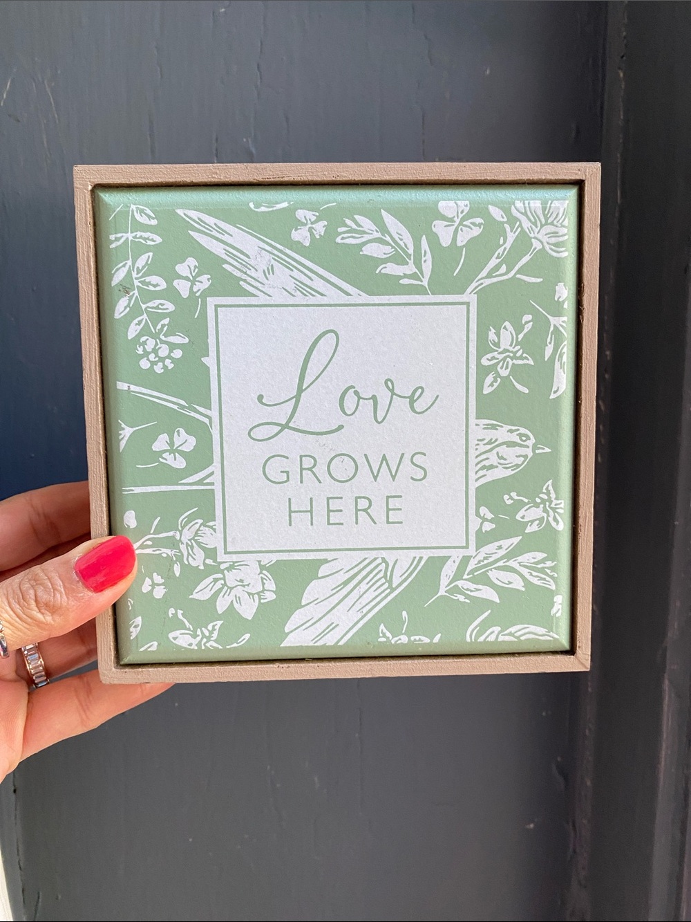 Love Grows Here Decorative Wall Sign - Sage Green & White